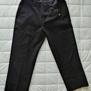 Dress pants